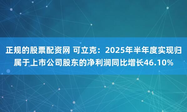正规的股票配资网 可立克：2025年半年度实现归属于上市公司股东的净利润同比增长46.10%
